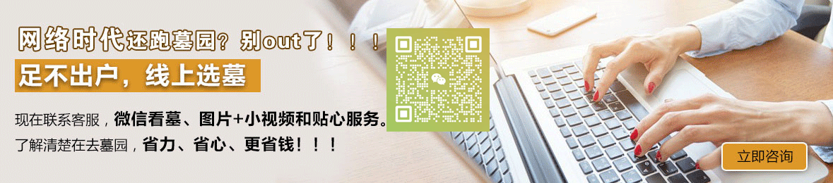 网上选墓
